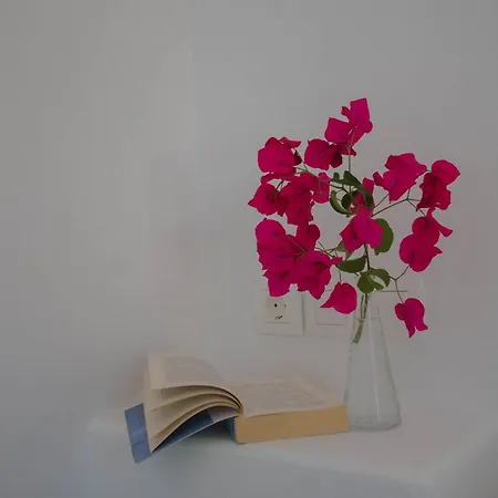 Gorgona מילופוטאס