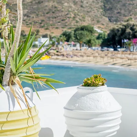 Gorgona Hotel