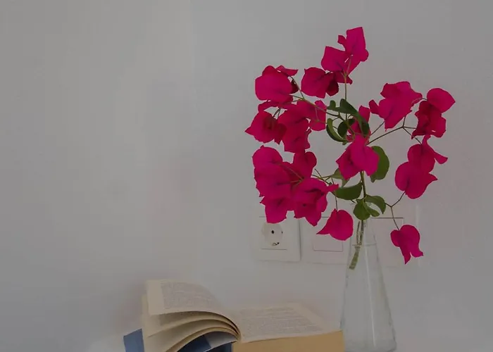 γοργόνα Μυλοπότας