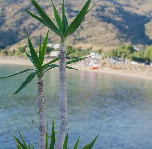 γοργόνα Ξενοδοχείο *